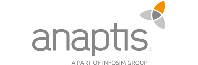 anaptis | Microsoft Dynamics Business Central Partner in IT.integro partners network