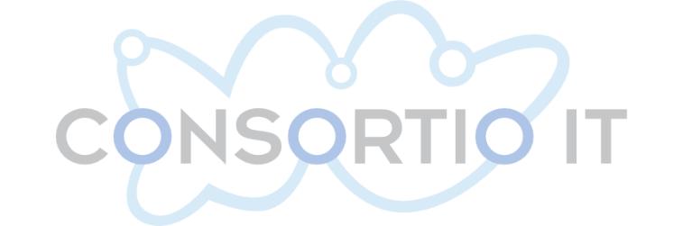 Consortio IT | Microsoft Dynamics Business Central Partner in IT.integro partners network